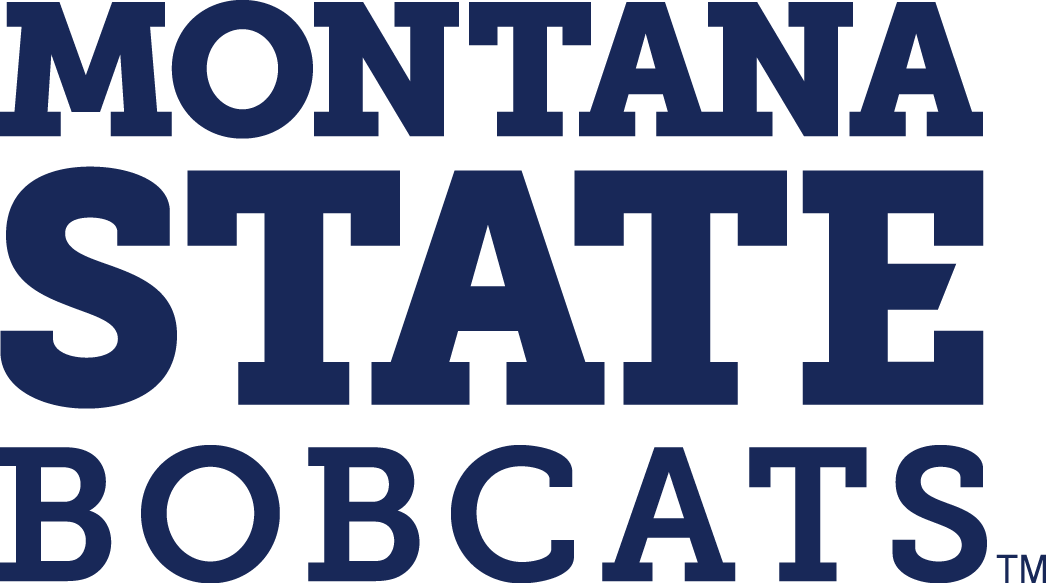 Montana State Bobcats 2013-Pres Wordmark Logo 01 iron on paper